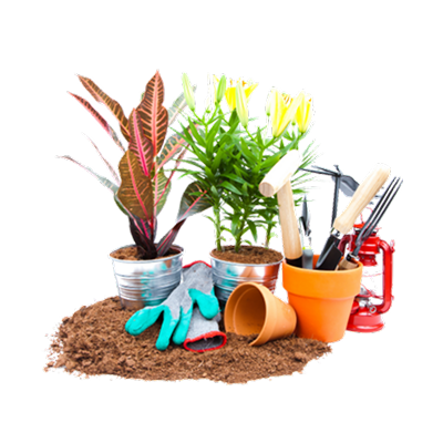 Gardening