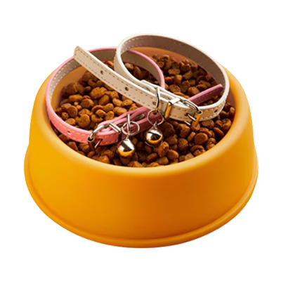 Pet Accessories & Toys