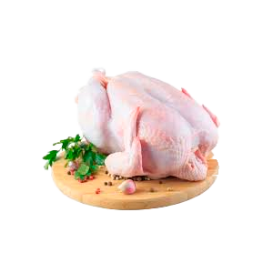 Fresh Chicken