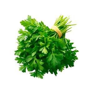 Leafy & Seasonings