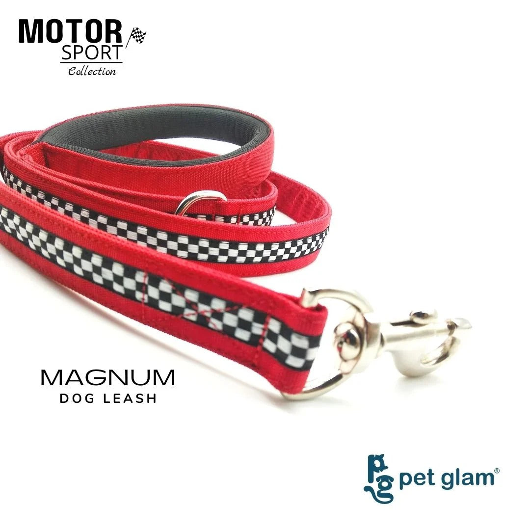 Pet Glam Leash for Dogs-Magnum