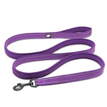 True Love Classic Leashes for Dogs-Purple