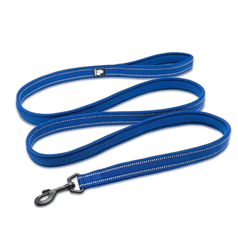 True Love Classic Leashes for Dogs-Blue