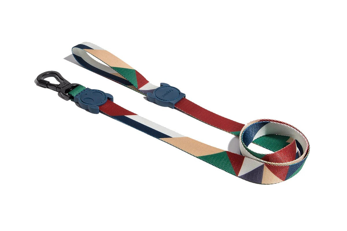 Zee Dog Leash for Dogs- Pacco