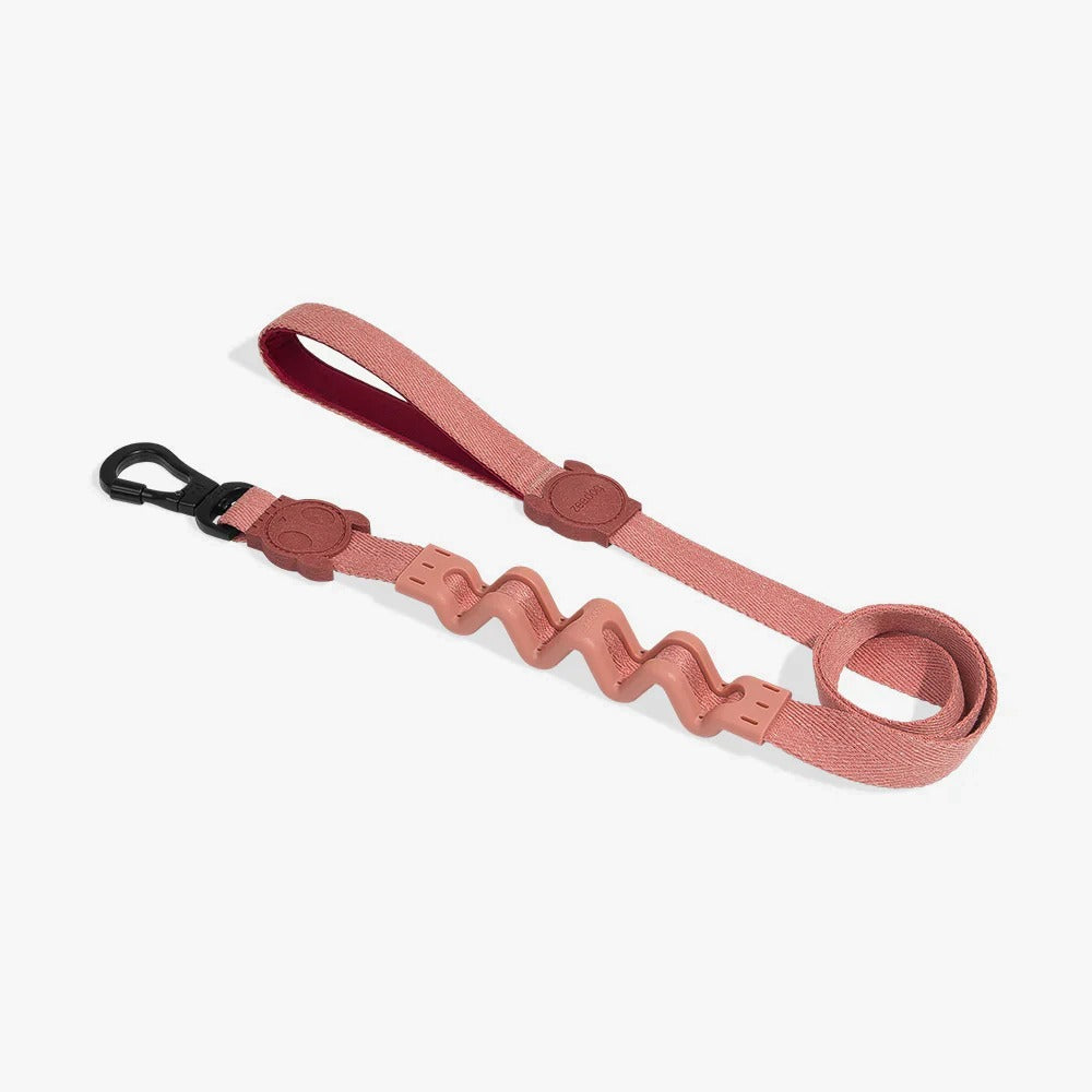 Zee Dog Leash for Dogs-Canyon Ruff Leash
