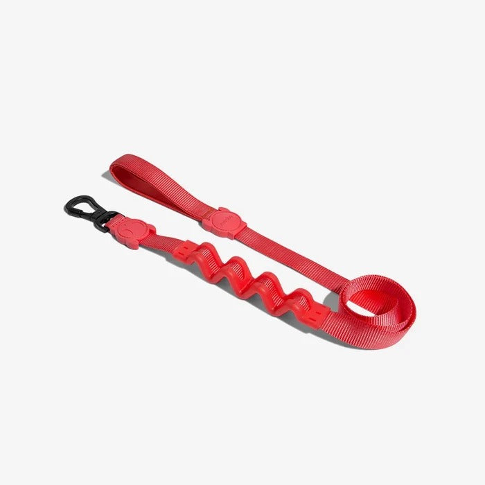 Zee Dog Neon Ruff Leash for Dogs