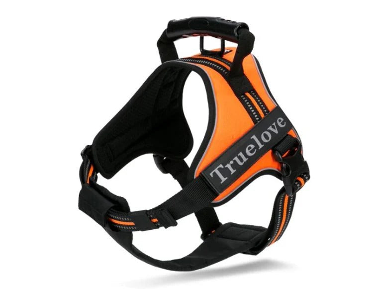 True Love Classic Strap Harness for Dogs-Orange