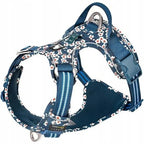True Love Floral No Pull Pet Harness Cordura Fabric - Saxony Blue