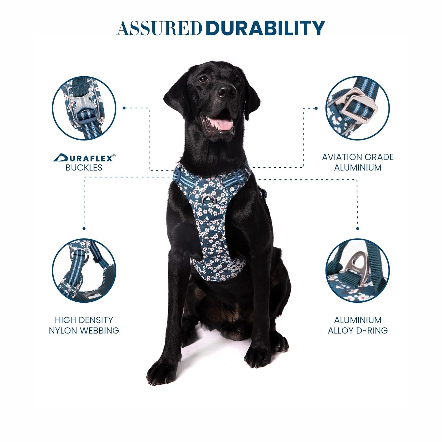 True Love Floral No Pull Pet Harness Cordura Fabric - Saxony Blue