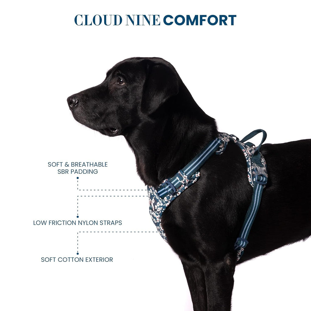 True Love Floral No Pull Pet Harness Cordura Fabric - Saxony Blue