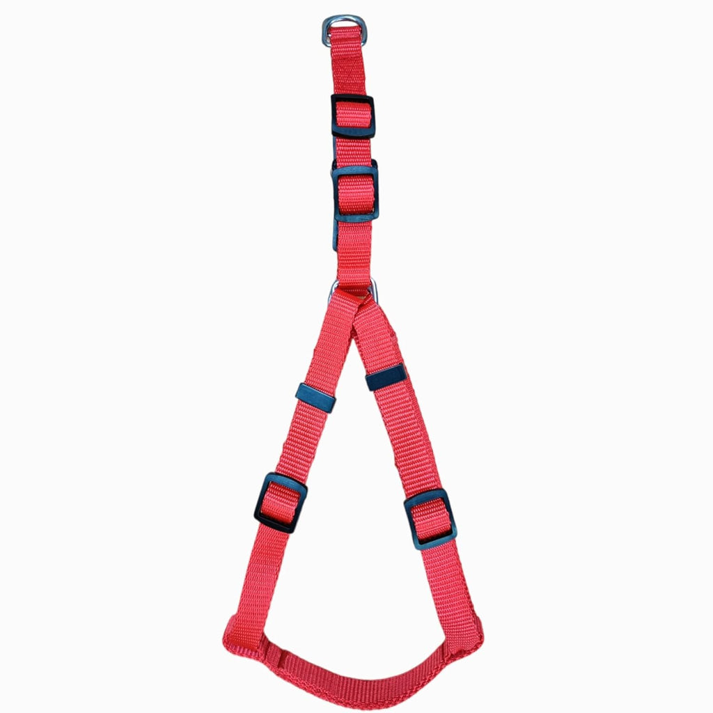 Story Tails Nylon H Harness