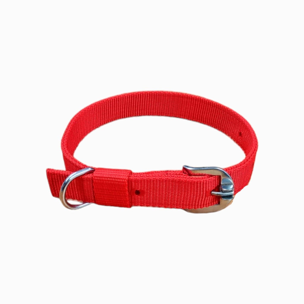 Story Tails Nylon H Harness
