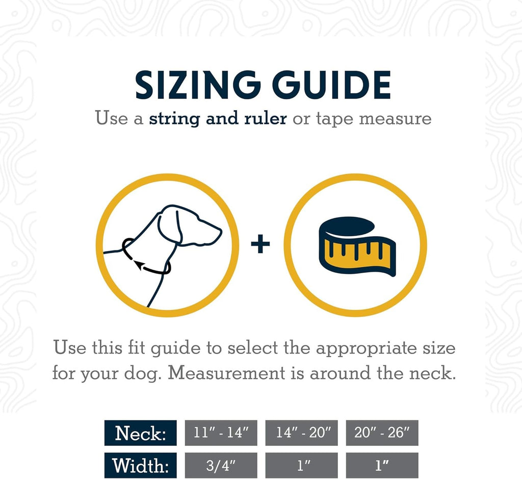 Ruffwear Top Rope Collar for Dogs-Sunset