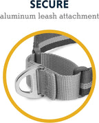 Ruffwear Top Rope Collar for Dogs-Granite Gray