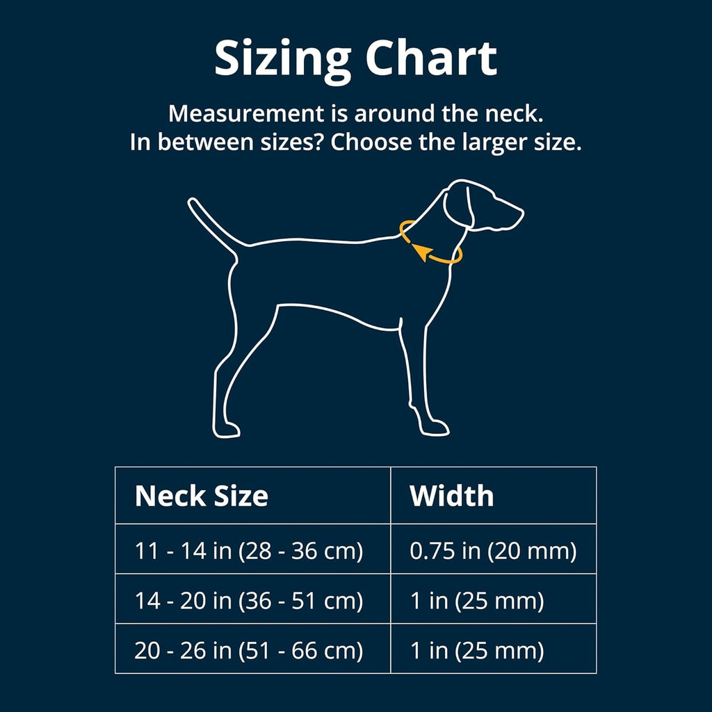 Ruffwear Top Rope Collar for Dogs-Seafoam