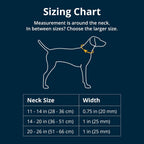 Ruffwear Top Rope Collar for Dogs-Seafoam