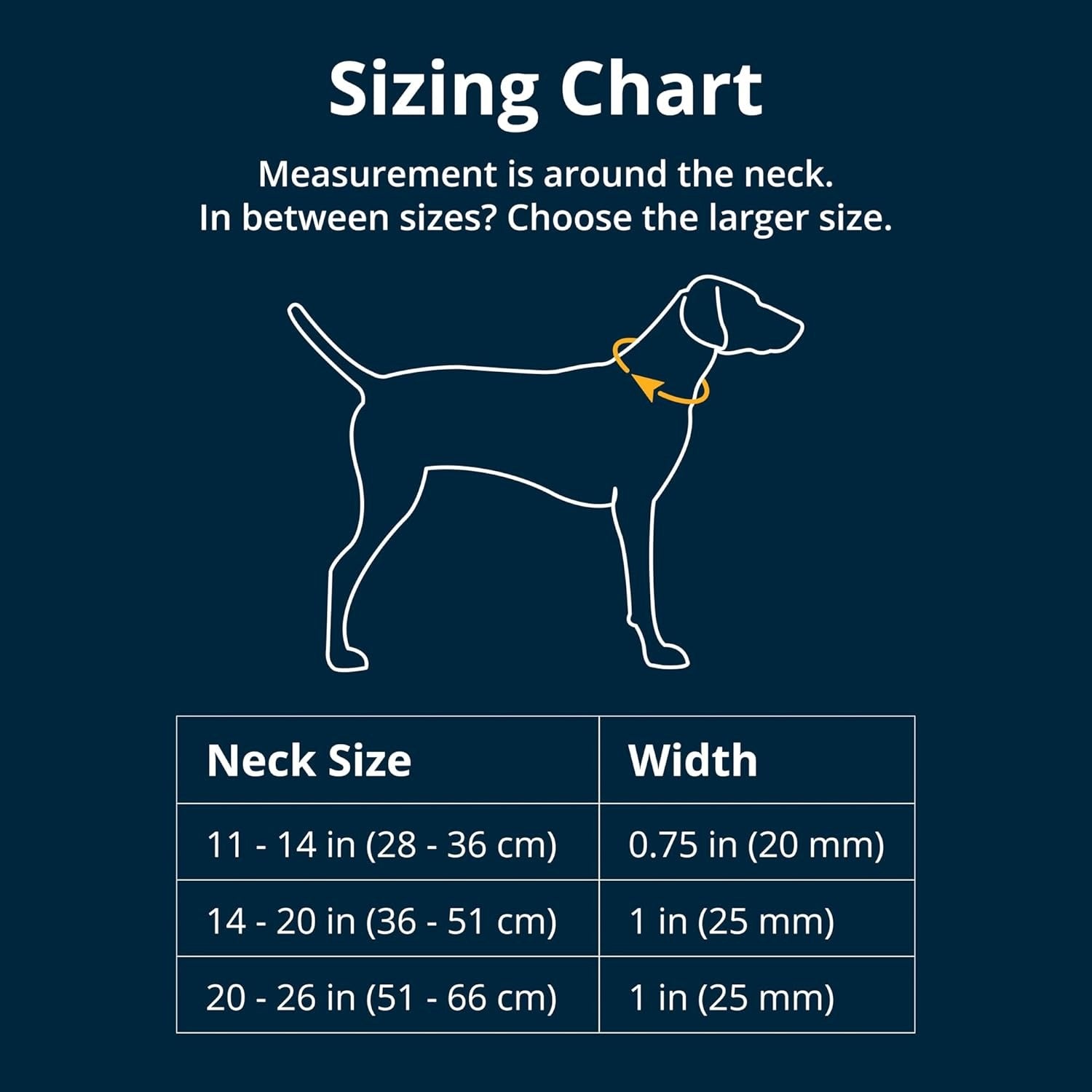 Ruffwear Top Rope Collar for Dogs-Seafoam