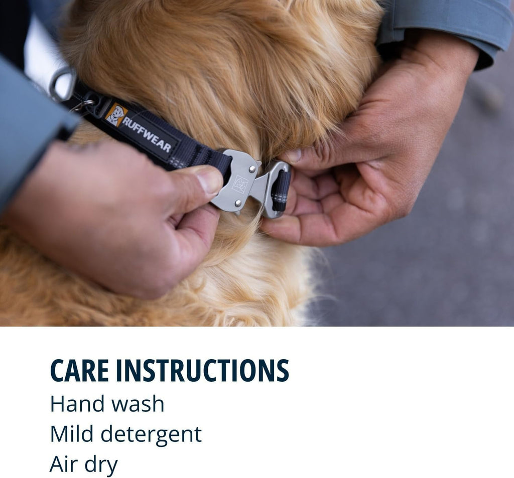 Ruffwear Top Rope Collar for Dogs-Seafoam