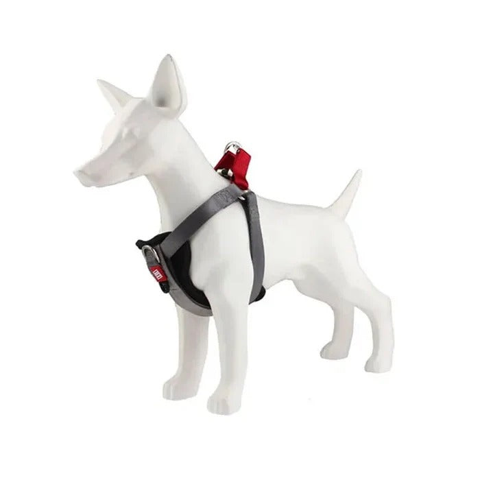 GiGwi Premium Line Harness for Dogs-Gray
