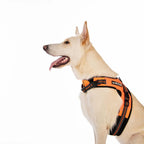 M Pets Hiking Harness for Dogs-Orange