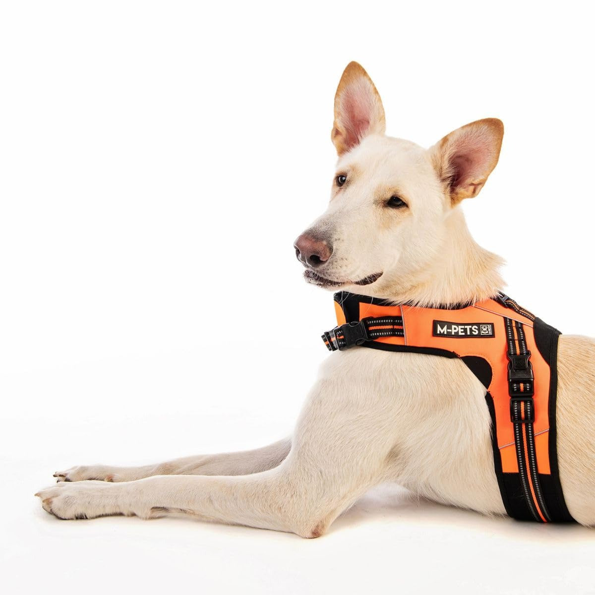 M Pets Hiking Harness for Dogs-Orange