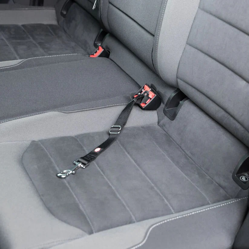 Trixie Car Harnesss for Dogs-Black