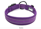 True love Classic Ultra Comfortable and Durable Dog Collars-Purple