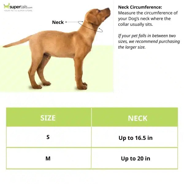 Fofos Cute Pet Bib Accessory