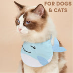 Fofos Cute Pet Bib Accessory-Blue