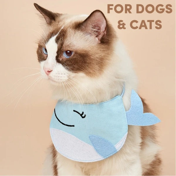 Fofos Cute Pet Bib Accessory-Blue