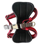 GiGwi Premium Line Harness-Red
