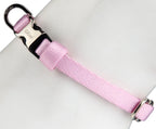 GiGwi Premium Collar Line for Dogs