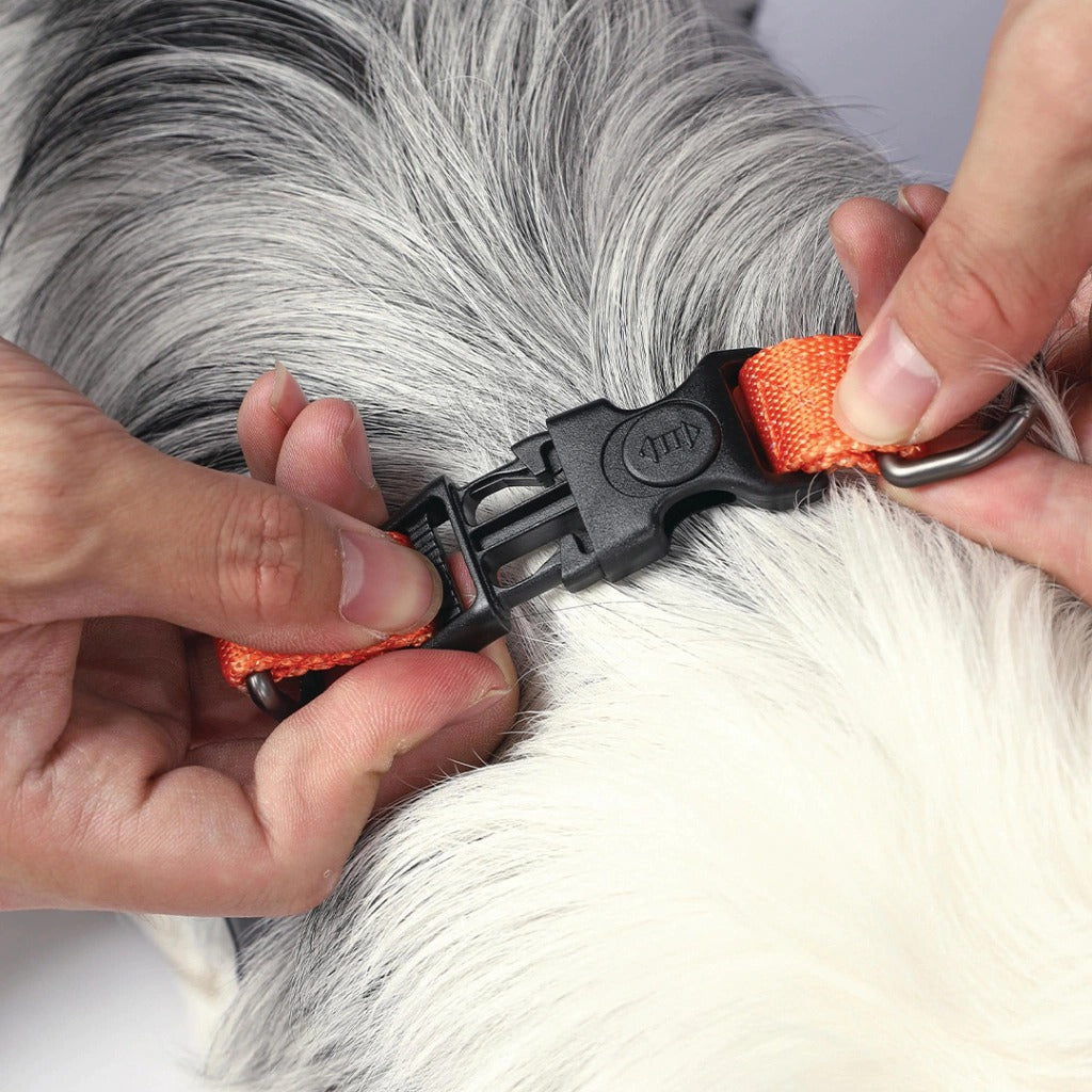 M-Pets Wild Jungle Harness for Dogs