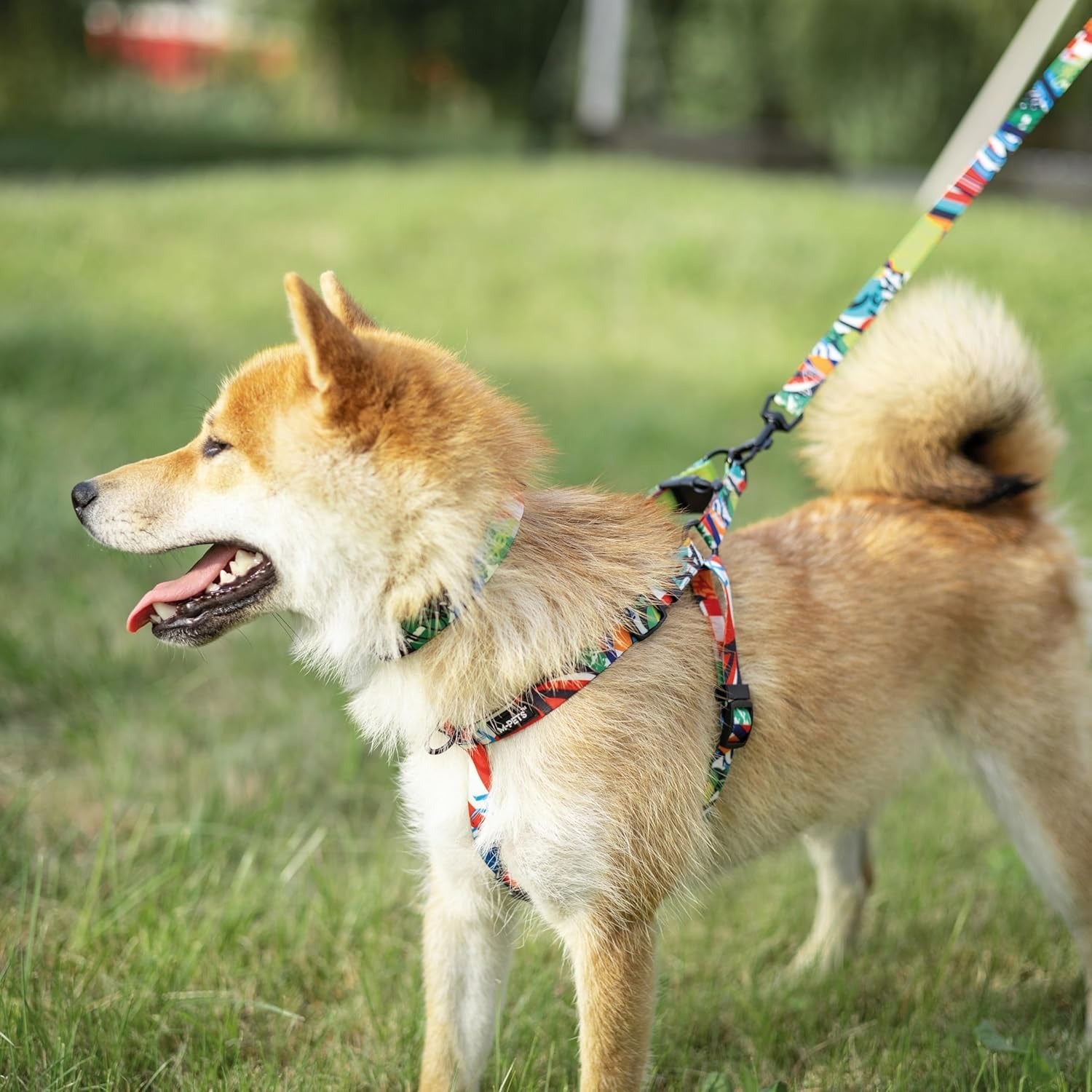M-Pets Urben Style Freestyle Leash for Dogs