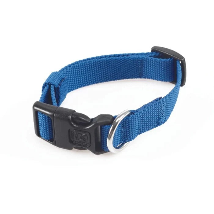 M-Pets Jolly Eco Collar for Dogs-Blue
