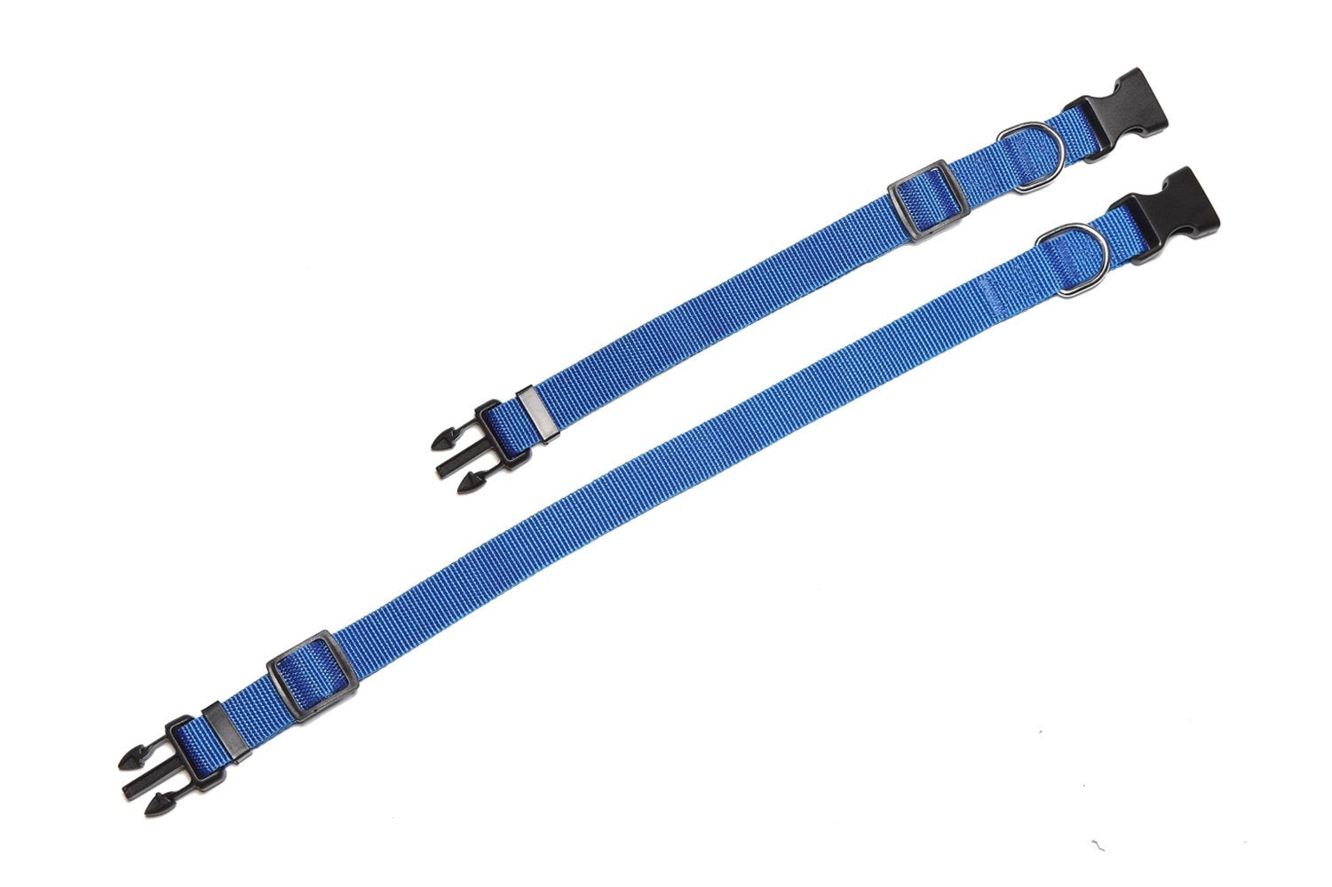 M-Pets Jolly Eco Collar for Dogs-Blue
