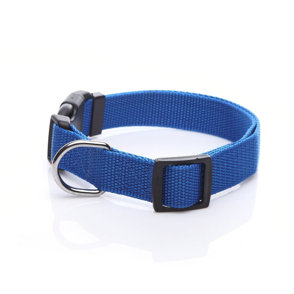 M-Pets Jolly Eco Collar for Dogs-Blue