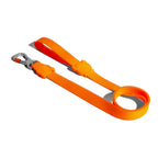 Zee Dog Neopro Tangerine Collar for Dogs