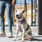 Zee Dog Air Mesh Harness for Dogs-Mahalo