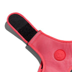 zee Dog Neon Coral Air Mesh Harness for Dogs