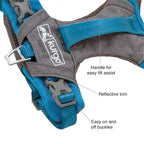 Kurgo Journey Air Dog Harness-Coastal Blue