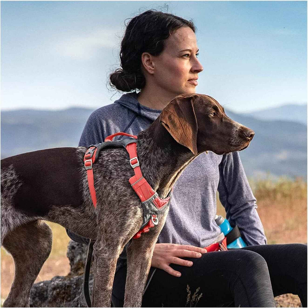 Kurgo Journey Air Dog Harness-Barn Red