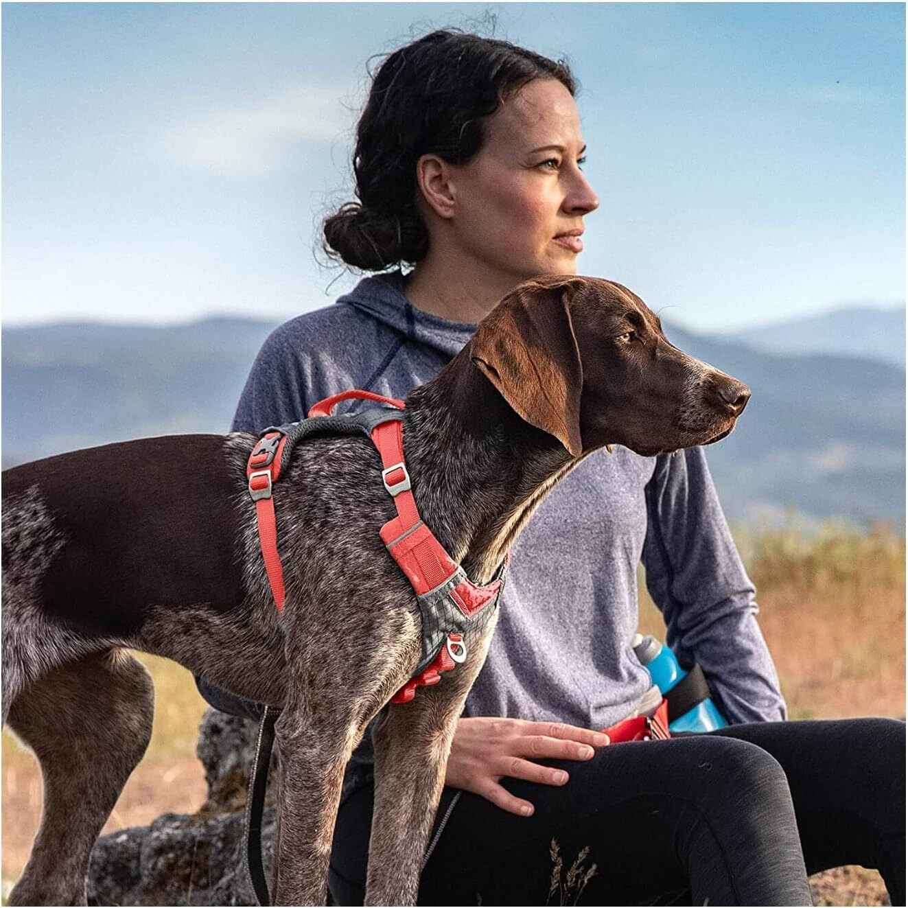 Kurgo Journey Air Dog Harness-Barn Red
