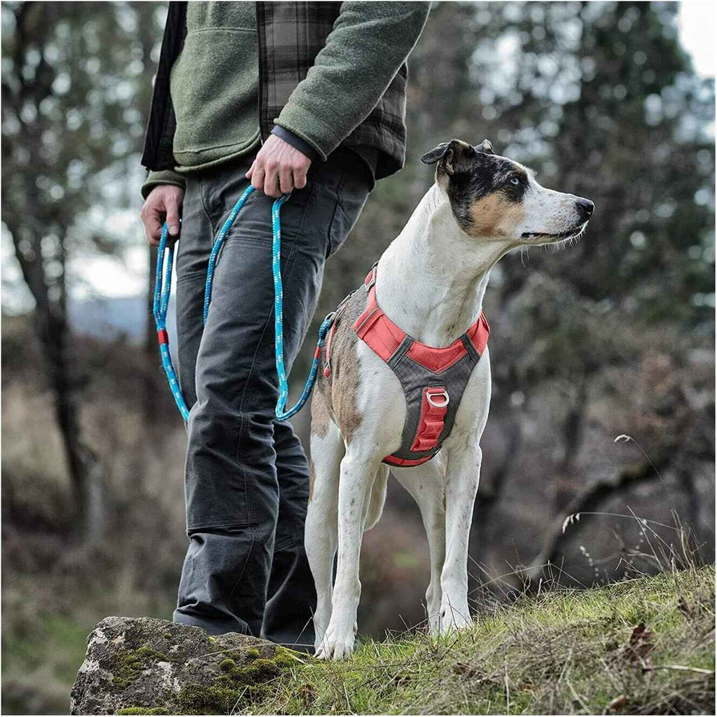 Kurgo Journey Air Dog Harness-Barn Red