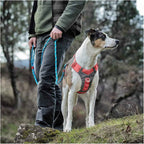 Kurgo Journey Air Dog Harness-Barn Red