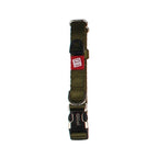 GiGwi Premium Line Collar for Dogs-Green