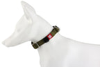 GiGwi Premium Line Collar for Dogs-Green