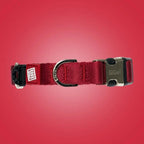 GiGwi Premium Line Collar for Dogs-Red