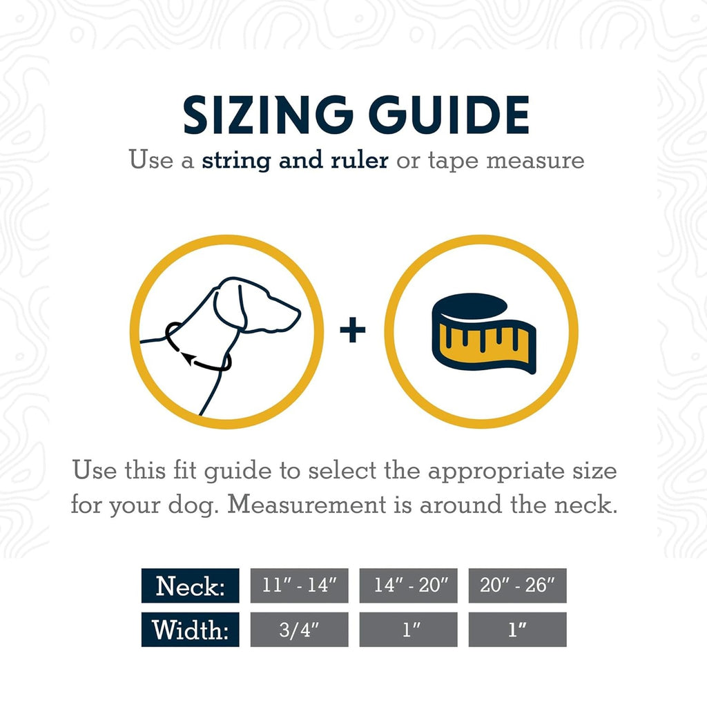 Ruffwear Chain Reaction Martingale Collar for Dogs-Blue Dusk