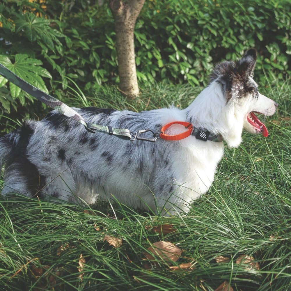 M Pets Wild Jungle Collar for Dogs